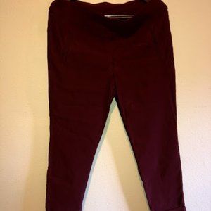 Burgundy Dress Pant